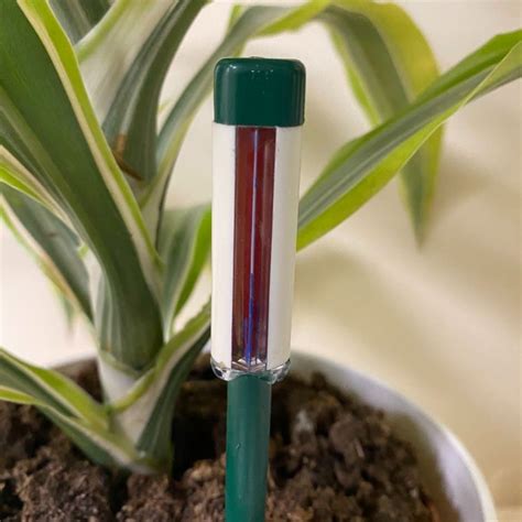 moisture indicator for houseplants